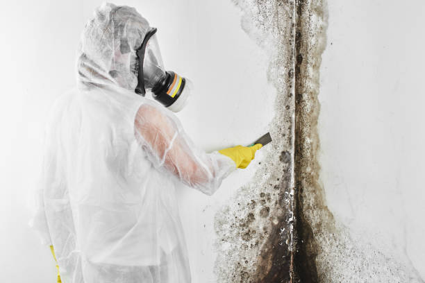 Best Mold Testing  in Marietta, OH