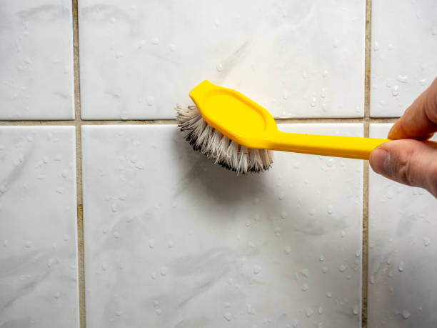 Best Best Mold Removal Companies  in Marietta, OH