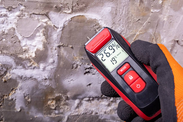 Best Professional Mold Removal  in Marietta, OH